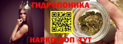 дмт Дубна